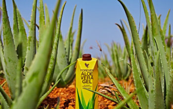 aloe-vera-gel