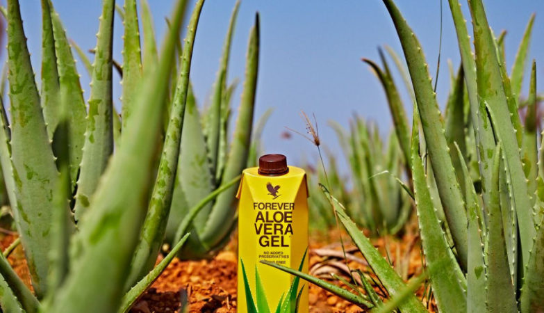 aloe-vera-gel