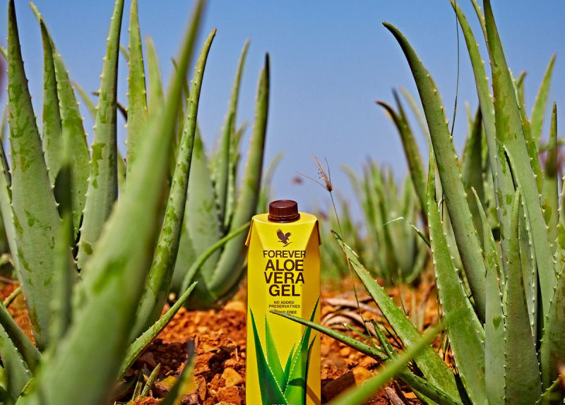 aloe-vera-gel