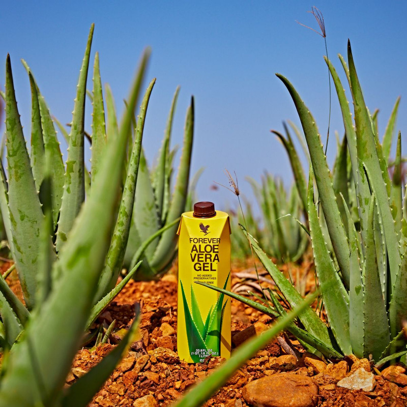 aloe-vera-gel